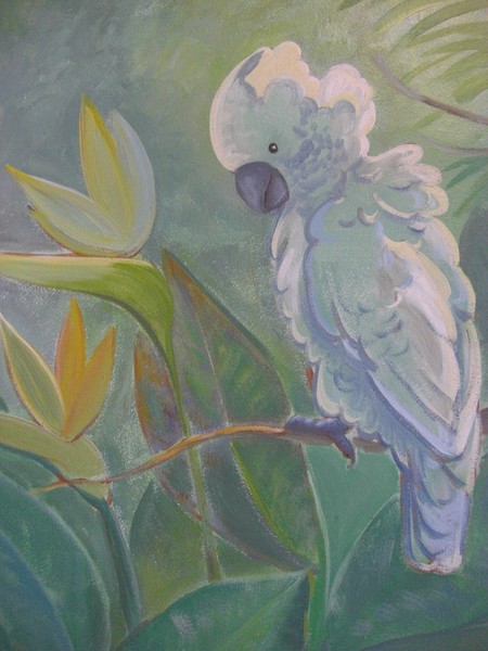 Cockatoo