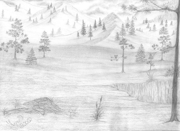 mountain meadow