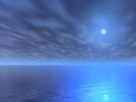 Winged Night