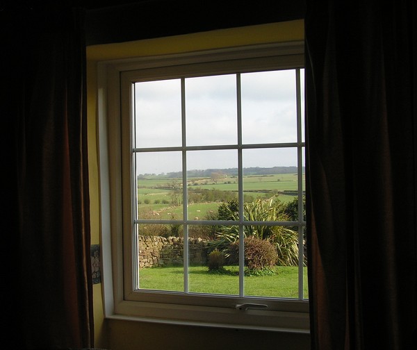 Through the window