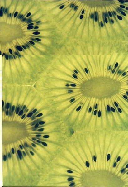 kiwi fruit