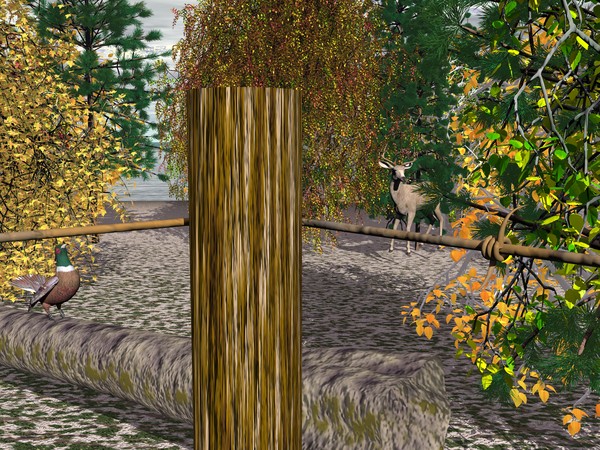 Lake of the Woods