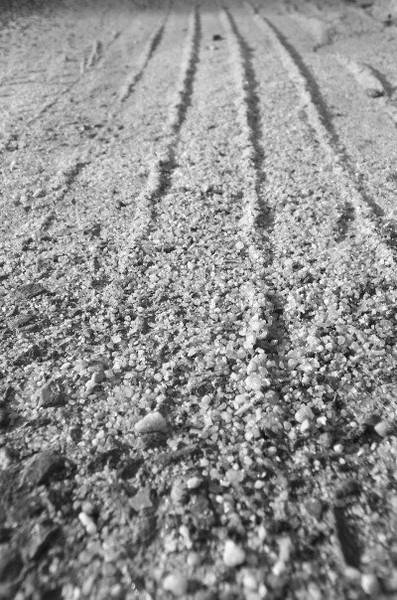 Finding Your Path
