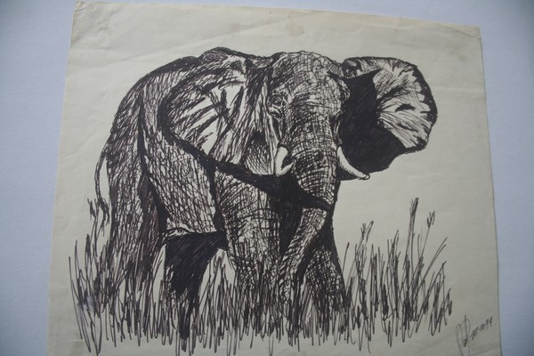 Elephant