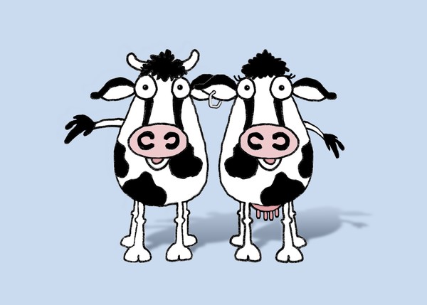 Cow and Bull on Blue