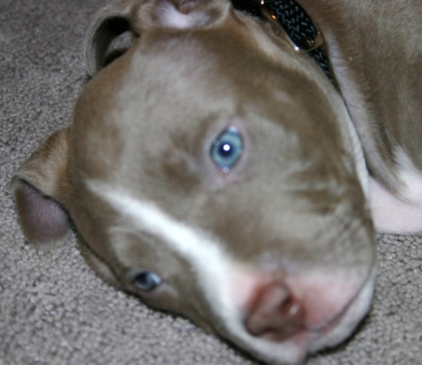 Blue Eyes