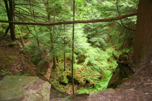Looking Down from the Edge of the Cliff #2