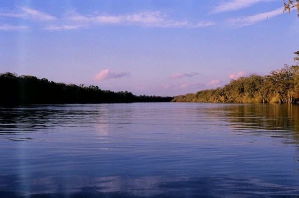 The Suwannee Blues