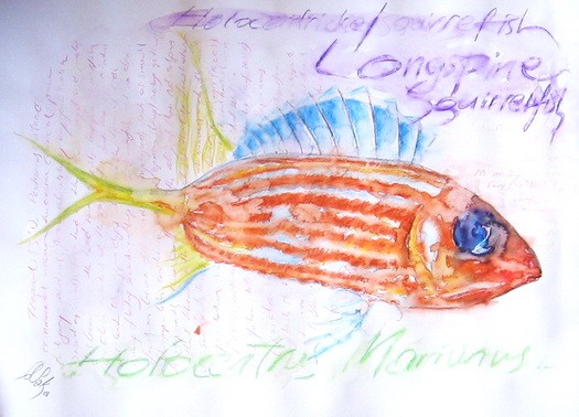 fish-WATERCOLORS,11