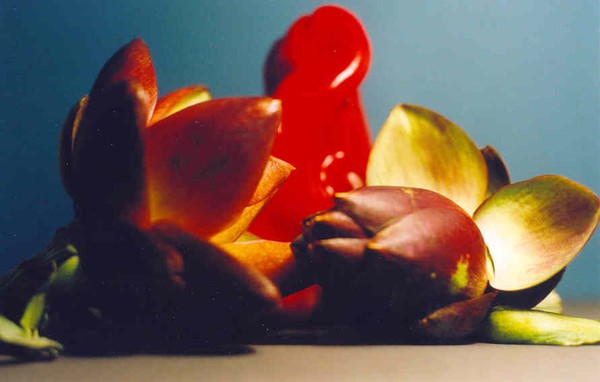 Artichoke with tongue