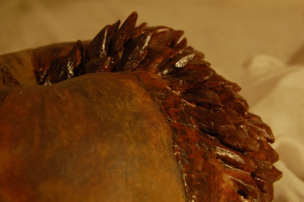 Close-up of PorcupineApple
