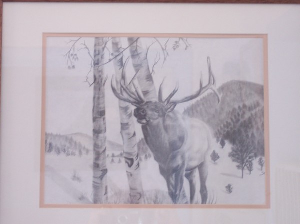 Elk