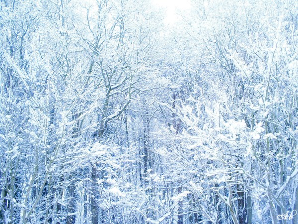 Snow