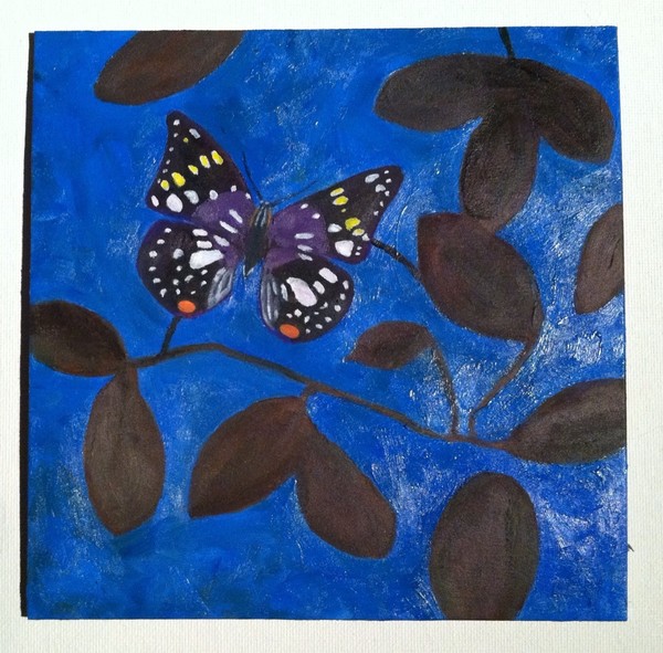 Japan Butterfly