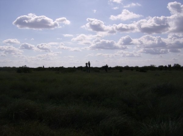 Pristine South Texas