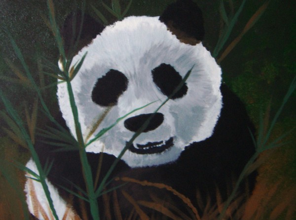 panda