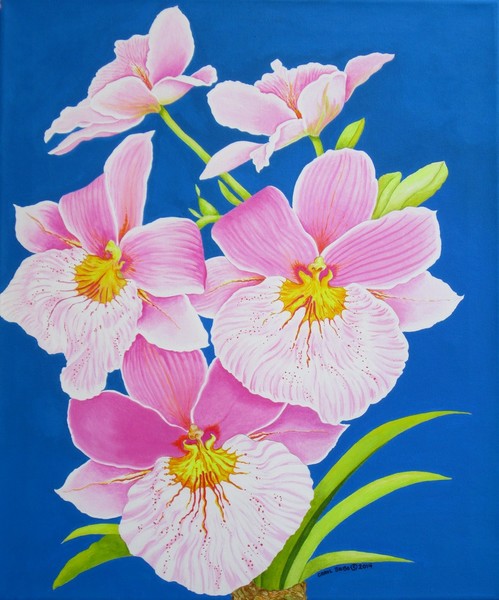 Pink Orchids
