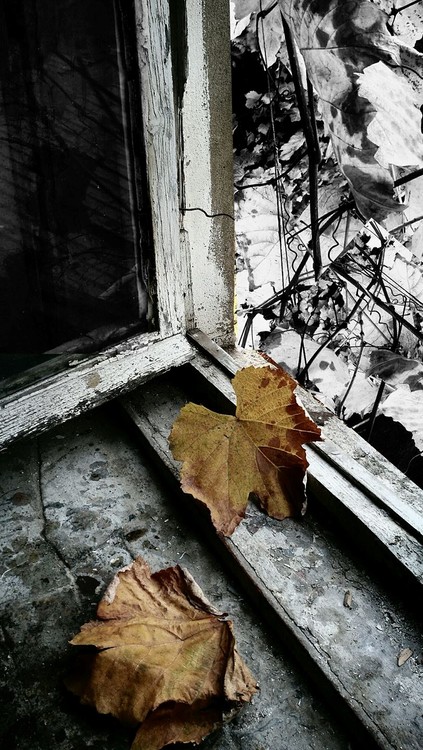 what remained from last summer.