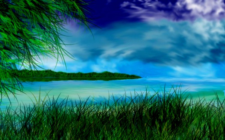 Summer Colors