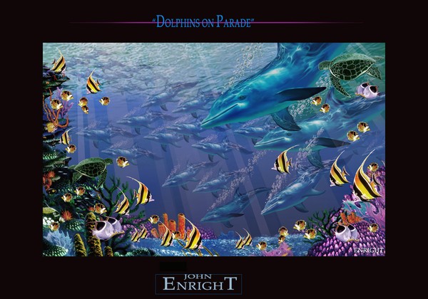 Dolphins on Parade