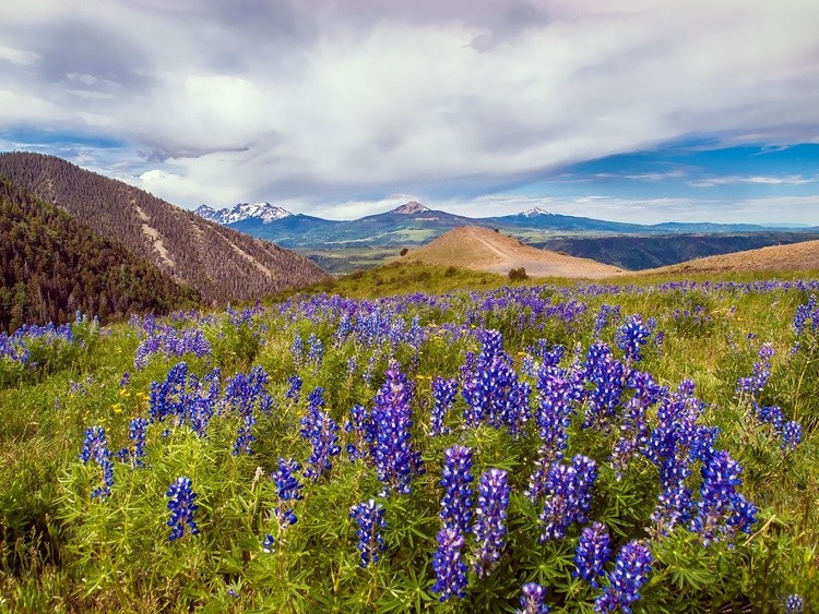 Colorado