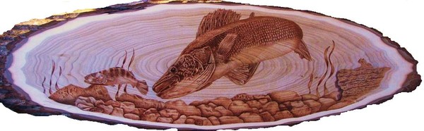 Walleye action