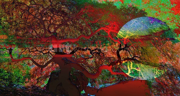 Abstract Landscape Moon