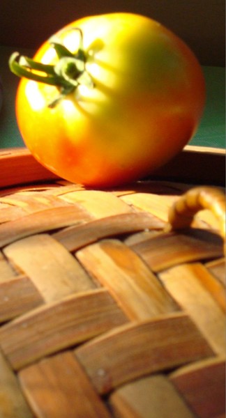 Basking on the Basket