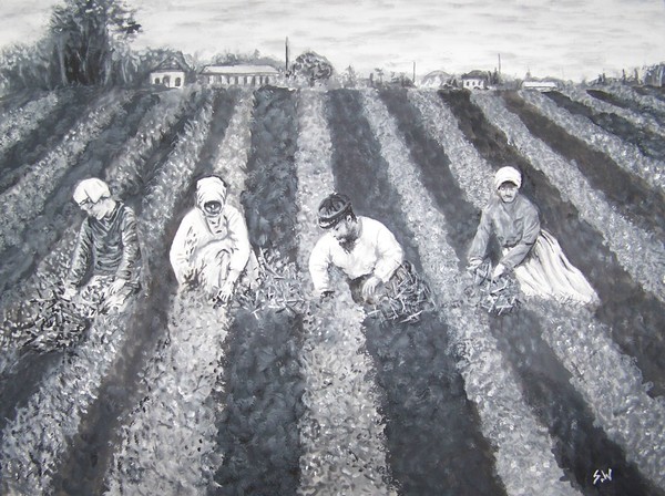fields