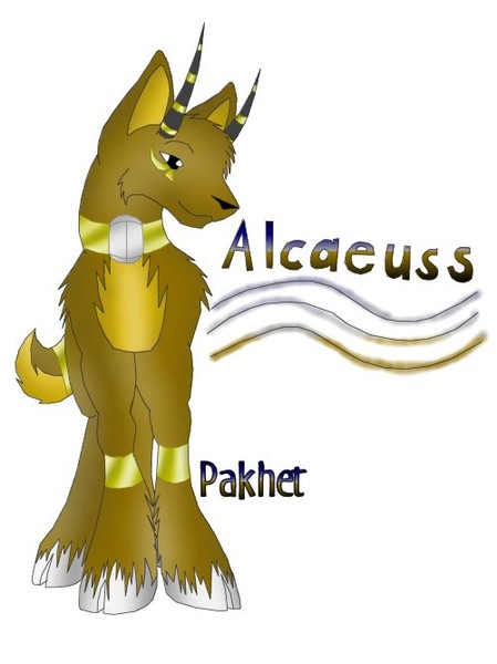 Caeuss