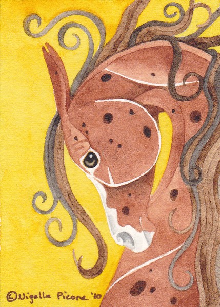 Appaloosa Horse On Gold