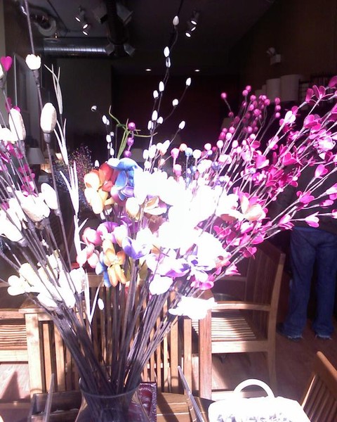 my pics (8)