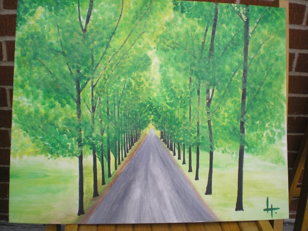 wooded roadway