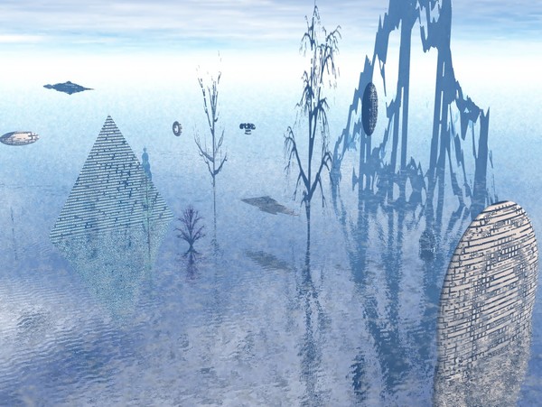 swamp