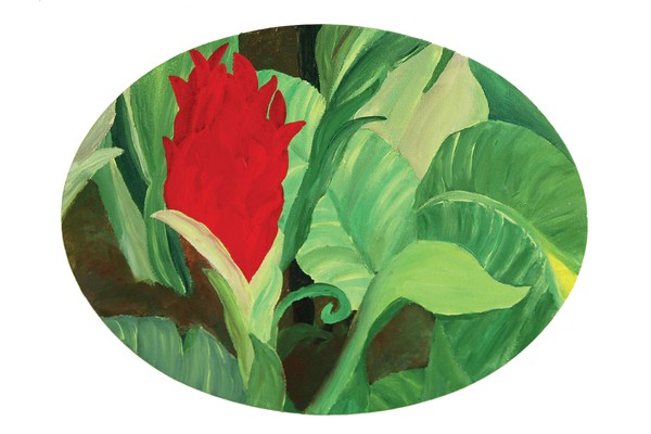 Bird of Paradise