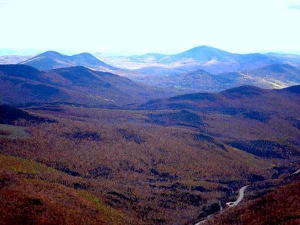 Splendid Mountain Folliage