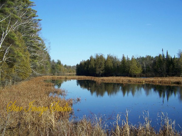 Larson Bridge Fishing Spot