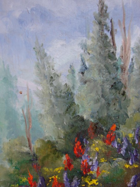 Indian Paint Brush