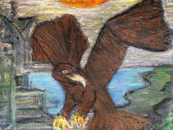 Fish Hawk