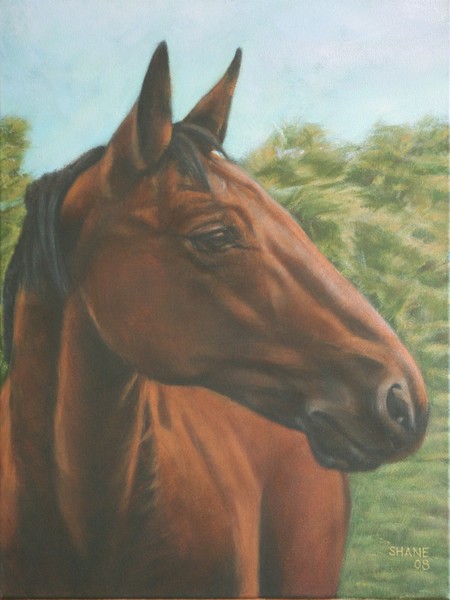 Briar