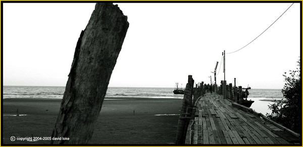 Loneliness