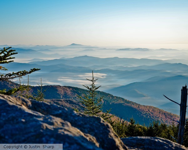 The Fog Below