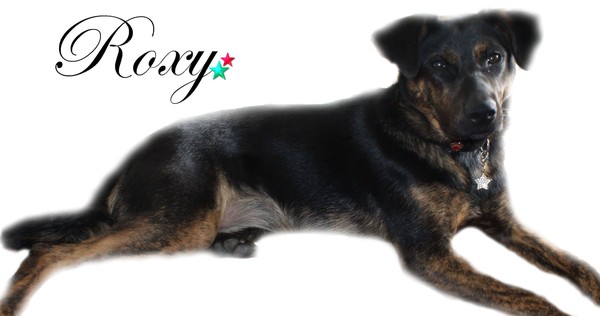Roxy