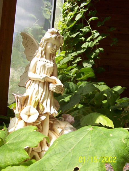 The Fairy