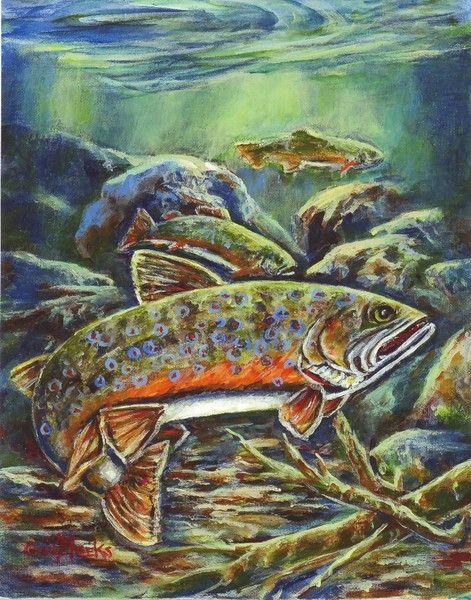 Brook trout