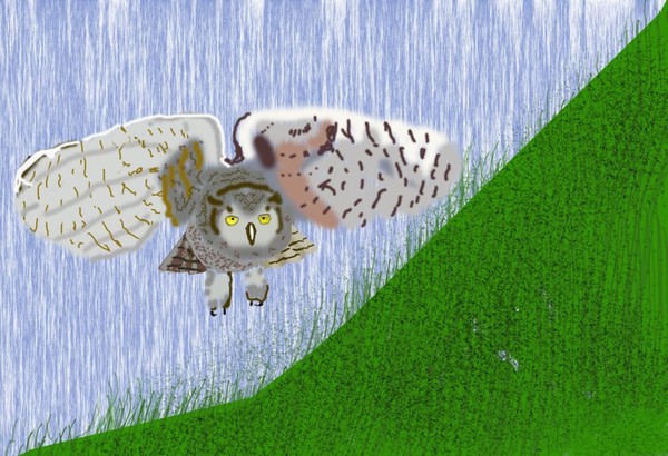 Hunting in the Rain