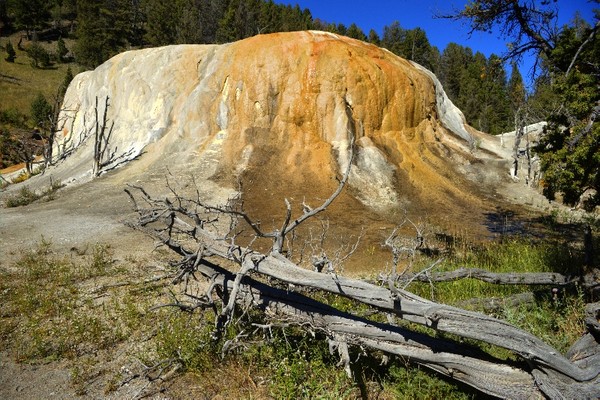 Yellowstone