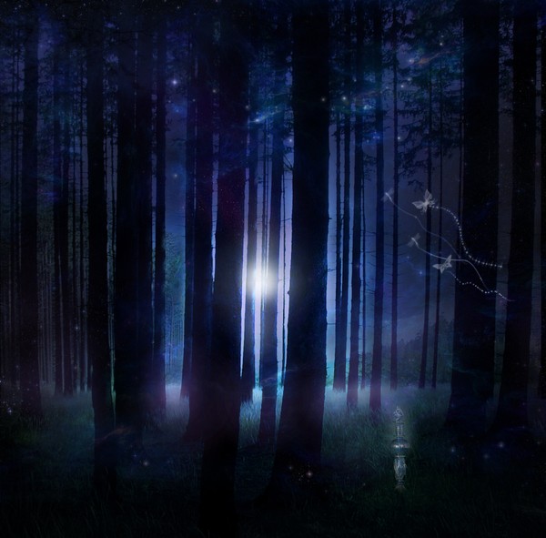 mysitc woods