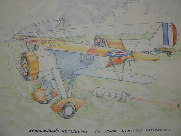 sparrowhark at Moffat