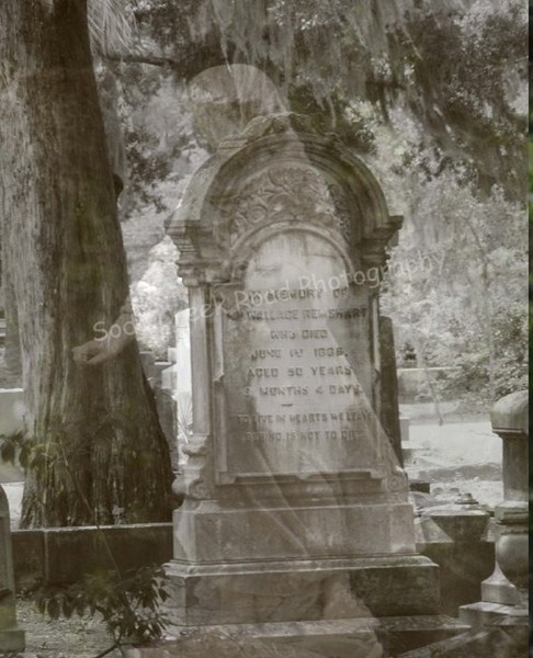 Cemetery Ghost